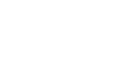 DSA Logo